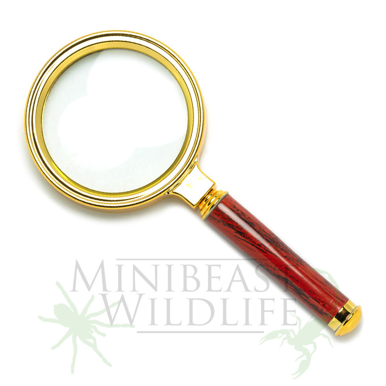 Magnifying glass - 70mm