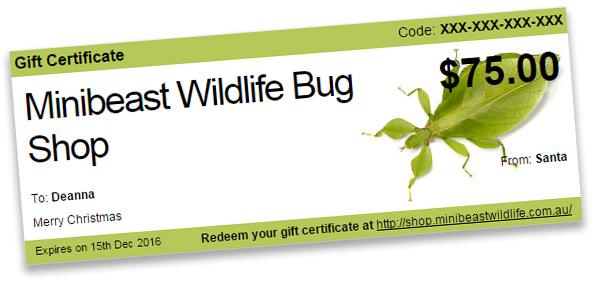 minibeast-wildlife-gift-voucher.jpg