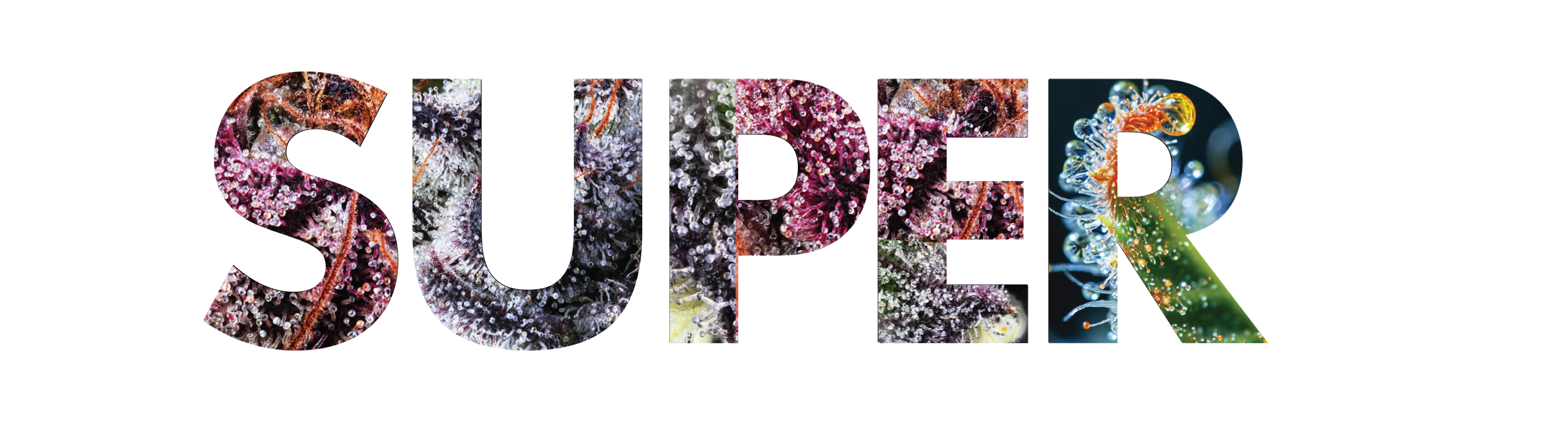 SuperbudzNYC