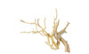 Manzanita Bundle *MNZBN