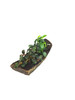 Bucephalandra Anubias Petite Mix on Driftwood *BPMX