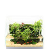 DOOA Tropical River Sand (2.5kg)