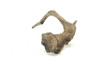 Saba Driftwood *SB085M