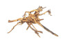 Tigerwood Driftwood