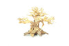 Dragon Bonsai Driftwood