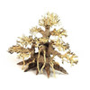 Dragon Bonsai Driftwood