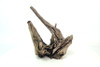 Saba Driftwood