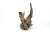 Saba Driftwood