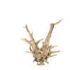Jangle Driftwood