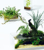 DOOA Neo Glass AIR
