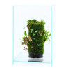 DOOA Neo Glass AIR