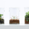 DOOA Glass Pot Maru