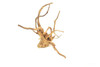 Spiderwood *SP0602