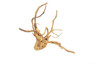 Spiderwood *SP0602