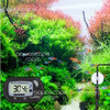 Digital aquarium thermometer displayed in a lush aquascaped planted tank with live fish