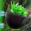 2.5" glass suction cup aquarium planter for aquascaping and aquatic plant propagation