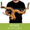 Spider Driftwood SP2602