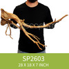 Spider Driftwood SP2603
