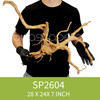 Spider Driftwood SP2604