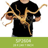 Spider Driftwood SP2604