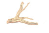 Manzanita Driftwood  *MZ2604