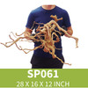 Spider Driftwood SP061