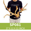 Spider Driftwood  On Slate SP081