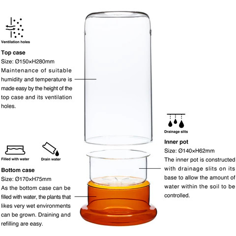 DOOA ADA CELL セル AMBER アンバー CELL | PRODUCTS | DOOA