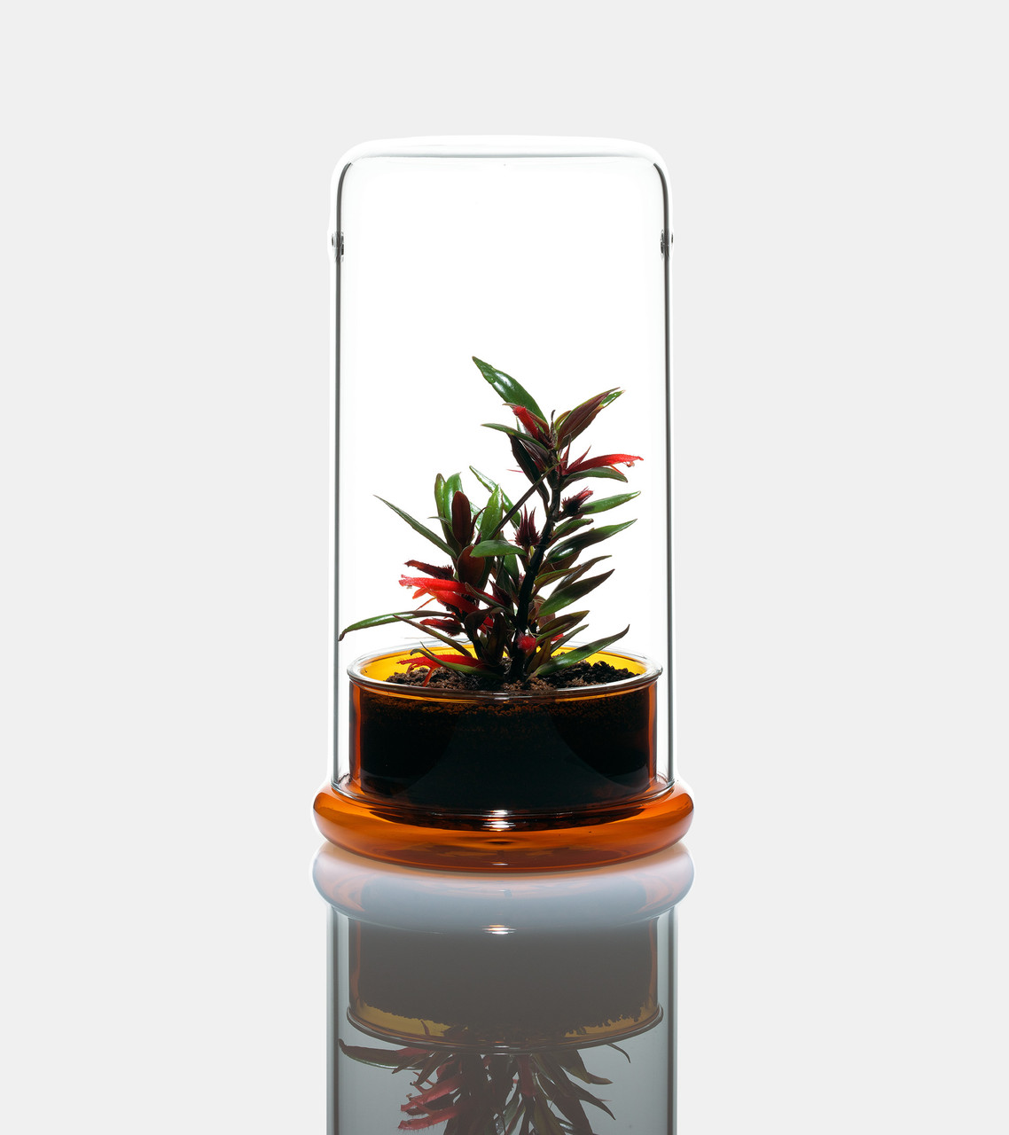 DOOA セル クリア CELL | PRODUCTS | DOOA