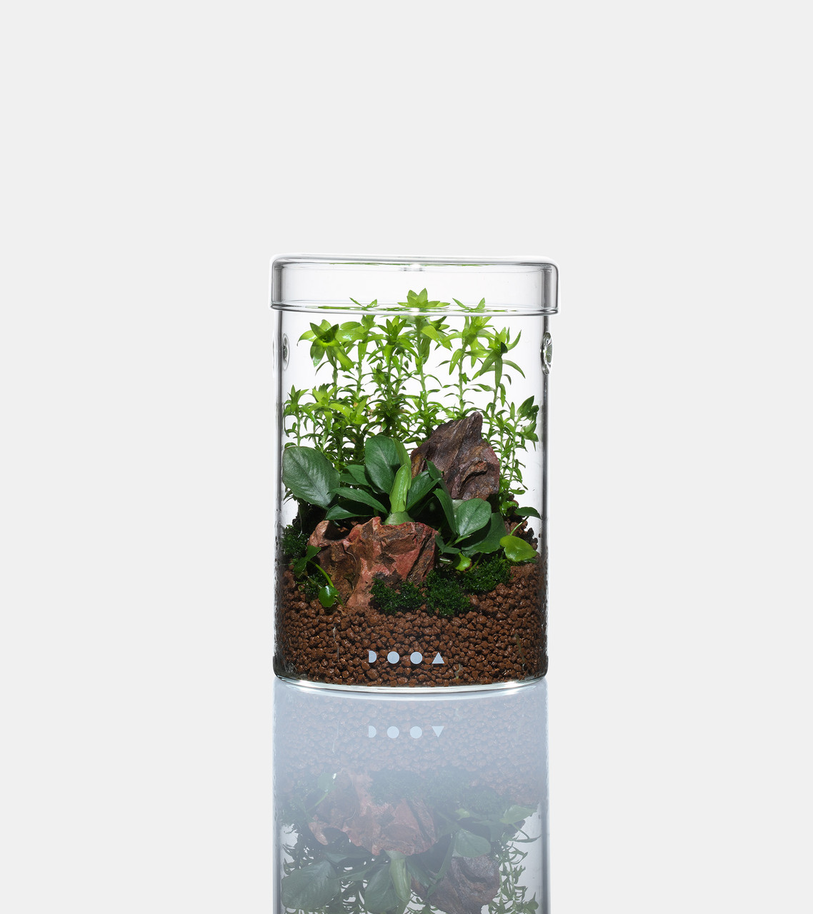 DOOA Glass Pot MARU | Aquascaperoom Canada