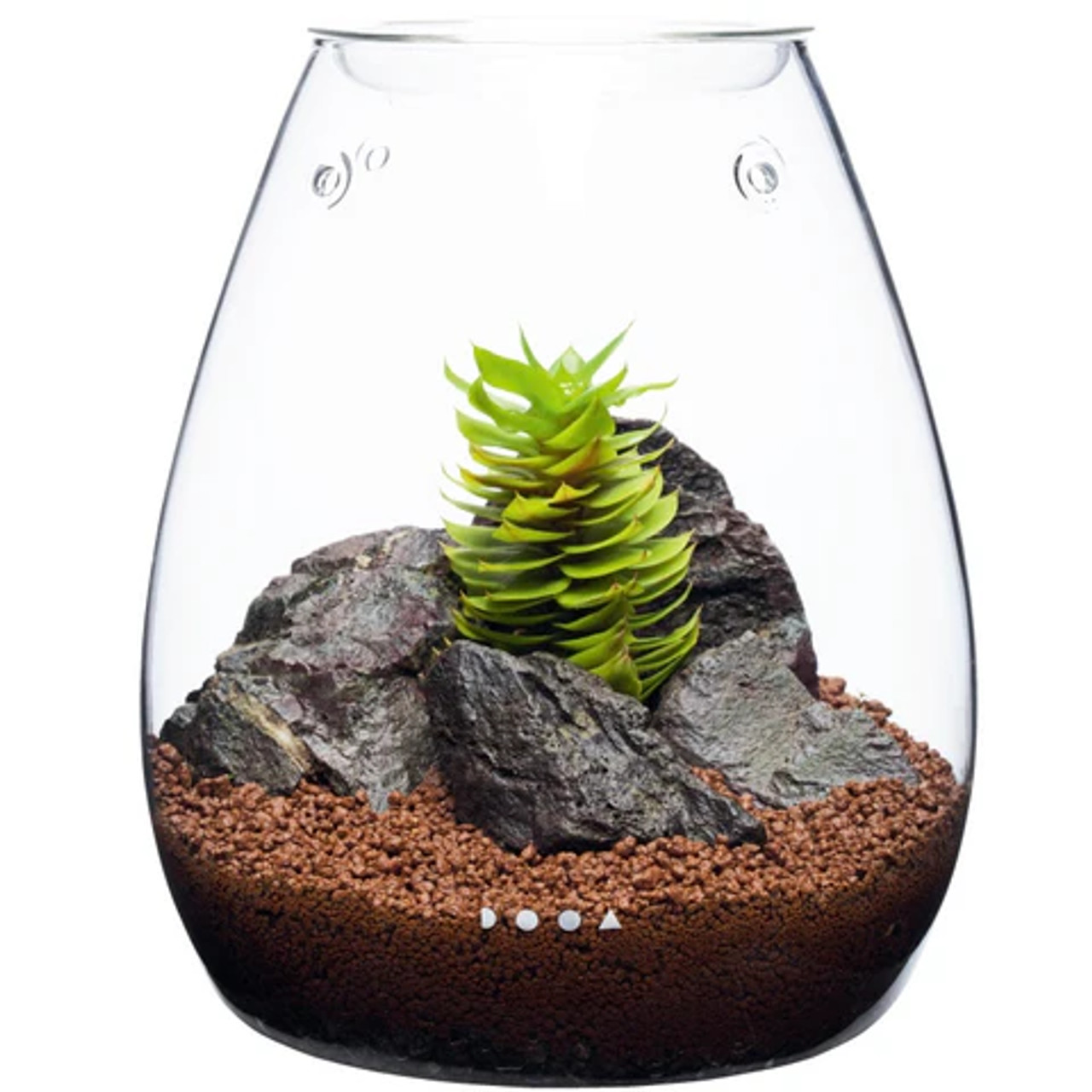 DOOA GLASS POT SHIZUKU セット DOOA GLASS POT SHIZUKU – Aqua Forest Aquarium