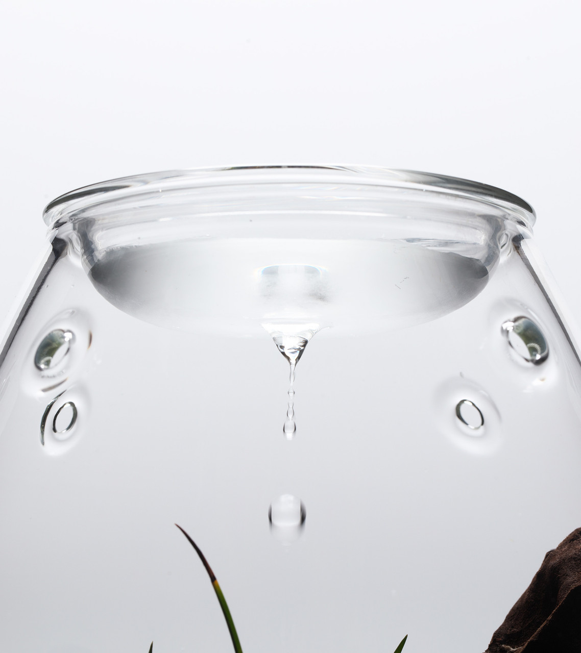 DOOA Glass Pot SHIZUKU | Aquascaperoom Canada
