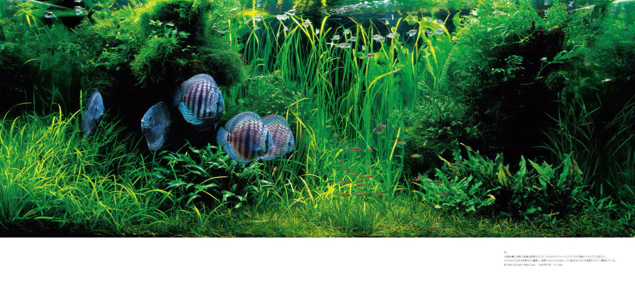 希少【新品】TAKASHI AMANO L PHOTOGRAPHY 英語版 ADA TAKASHI AMANO L Photography (English) | Aquascaperoom Canada