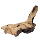 Betta Mopani Driftwood (4-5 Inches)