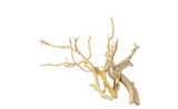 Manzanita Bundle *MNZBN