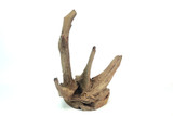 Saba Driftwood *SB081M