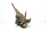 Saba Driftwood *SB083M