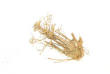 Caspian Driftwood *CP092M