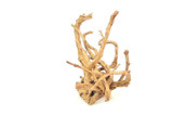 Spiderwood *SP0601