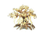 Octopus Bonsai Driftwood