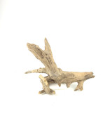 Neka Driftwood
