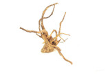 Spiderwood *SP0602