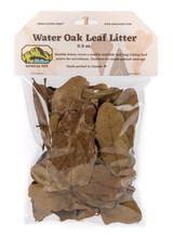Water Oak Dried Leaf Litter