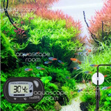 Digital aquarium thermometer displayed in a lush aquascaped planted tank with live fish
