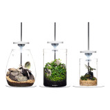 DOOA Magnet Light G Slim | Aquascaperoom Canada