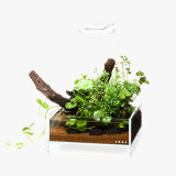 ADA DOOA 用品 ADA & DOOA Aquascaping Products in Canada | Aquascaperoom Canada