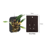 DOOA Terra Plate (Hook Incl.)