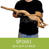 Spider Driftwood SP2601