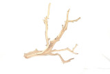 Manzanita Driftwood  *MZ2602
