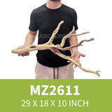 Manzanita Driftwood MZ2611